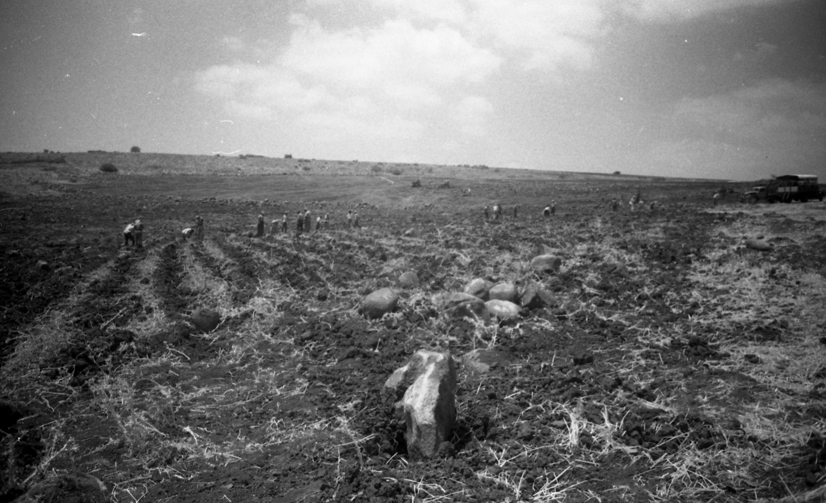 גן ירק, רמת צבי | תמונה | NNL_ARCHIVE_AL997005805380405171 | הספרייה ...
