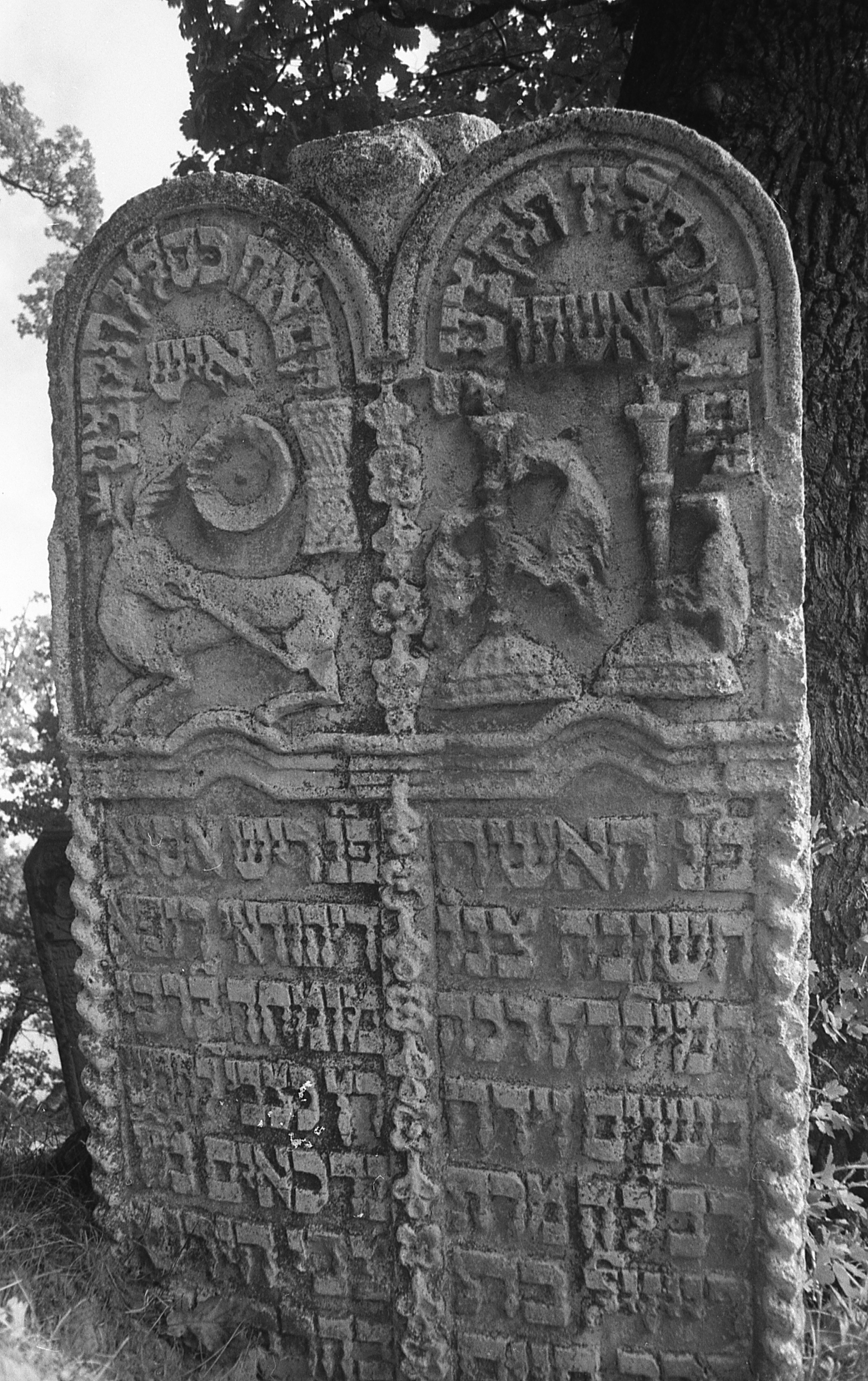 bolehov-jewish-cemetery-picture-photograph-nnl