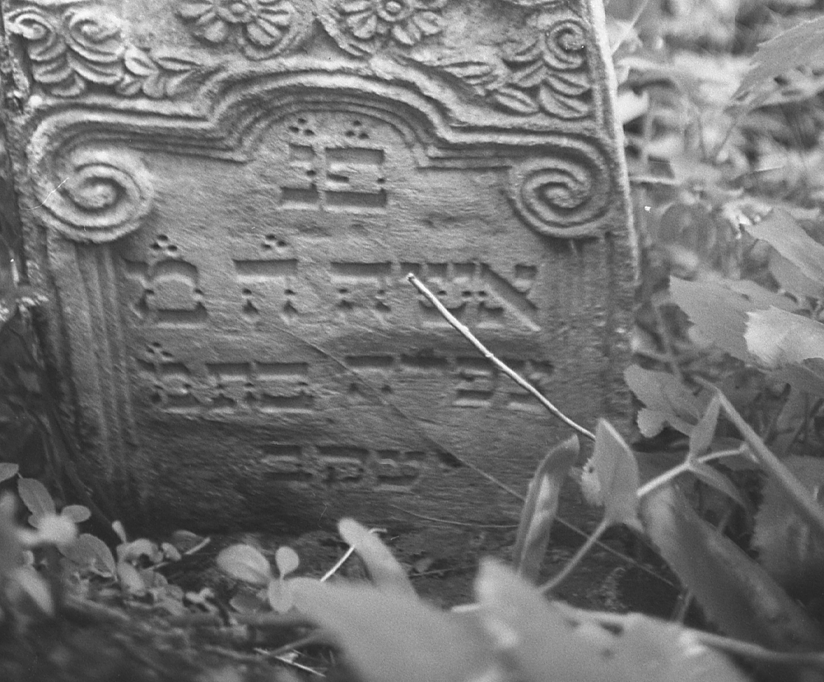 kosov-jewish-cemetery-picture-photograph-nnl