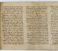 ספורי שמועות הנוגעות למציאות היהודים לבנים ושחורים במלבר.