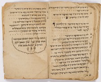 הלכות שחיטה ובדיקה על דרך שאלות ותשובות.