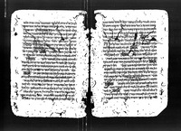 שאלות ותשובות מאת יהושע הנגיד.