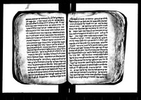 נור אלצ'לאם.