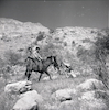 אנשים רכובים על סוס באזור עין גדי – הספרייה הלאומית