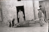 תל אביב בזמן מלחמת העצמאות, פינוי הרוגים בהריסות בת"א-יפו – הספרייה הלאומית
