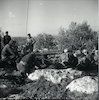 חיילים יושבים לנוח בין עצי הזית בשדות של הכפרים – הספרייה הלאומית