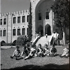 תינוקות יושבים לפני מבנה הטכניון בחיפה – הספרייה הלאומית