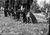 אימון כלבים משטרתיים