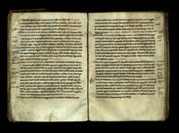 Liber de Gradibus Simplicium Medicine.