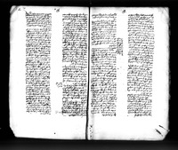 חדושים על התורה (דברים, פרשות תצא-וילך) : לפי פרשיות השבוע.