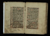 مجموعة في العبادات والعقائد.
