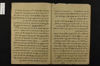 מאיר בת עין.