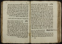 שעור קומה.