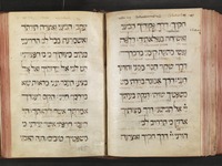 כתובים (תהלים) עם תרגום ללטינית : עם ניקוד.