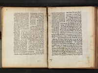 הלכות טרפות.