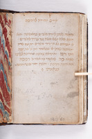 שחיטות ובדיקות.
