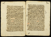 شرح شذور الذهب.