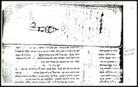 מחזור מנהג רומניא לשבועות (קטע).