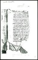 תלמוד בבלי סדר נשים (כתובות, נזיר, קטעים).