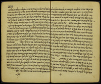 מנהגים מדויקים היטב.
