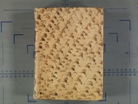קובץ פרושי עובדיה ספורנו למקרא.