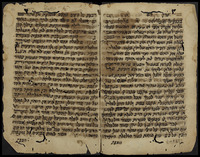 קבץ הלכות שחיטה וטרפות.