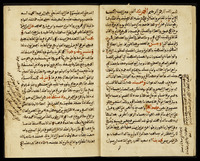 هداية السالك المحتاج الى بيان افعال المعتمر والحاج.