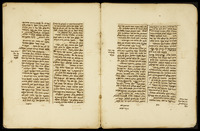 יחי ראובן.