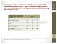 A political survey of the American Orthodox Jewish community : survey conducted January 14-26, 2020 / Nishma Research.