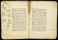 تنوير الابصار وجامع البحار في فروع الحنفية.