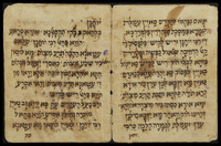 דרוש לתפלין.