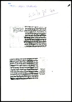 פרוש התלמוד לרש"י (בבא קמא מא-מב).
