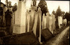 Währinger Friedhof: Alley between row 4 and 5, with gravestones – הספרייה הלאומית