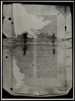 תשובות מימוניות (קטע).