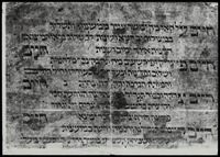 חיים ארוכים תכתבנו (קטע) : סליחה.