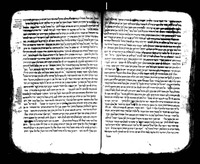 מדרש הגדול (בראשית).
