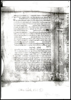 תלמוד בבלי סדר מועד (סוכה לח-מח, קטעים).