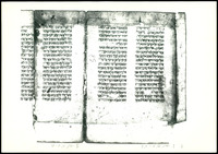 תורה (קטעים).