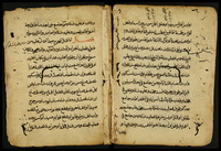 المختار للفتوى.