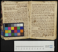 סימנים.