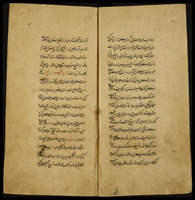 تذكرة الشعراء.