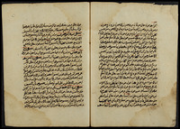 كتاب الناسخ والمنسوخ في القرآن.