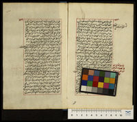شرح الاحاديث الاربعين المنبئة عن مسائل الدين.