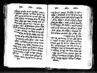 מנחת כהן.