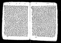 בן דוד.