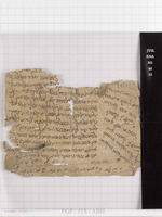 מכתבים;נספחות לחיבור.