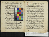 التقريب في فروع الشافعية.