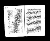 פרי עץ הגן.