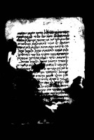 ערוגות הבשמים.