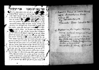 צירקא אישטנץ.